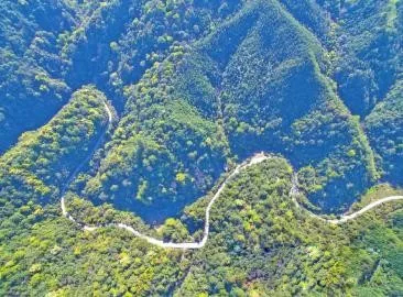 智能化，讓森林防火監(jiān)控管護(hù)更“智慧”
