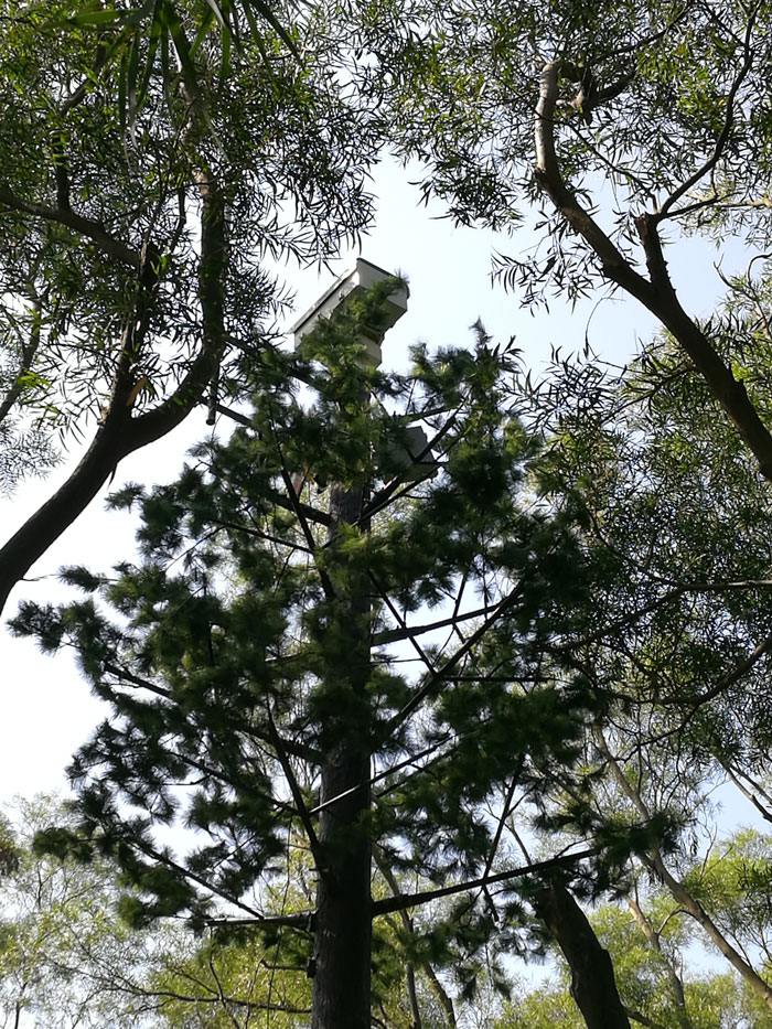 ?森林火災(zāi)風(fēng)險普查工作任重而道遠(yuǎn)，華瑞通發(fā)揮行業(yè)優(yōu)勢
